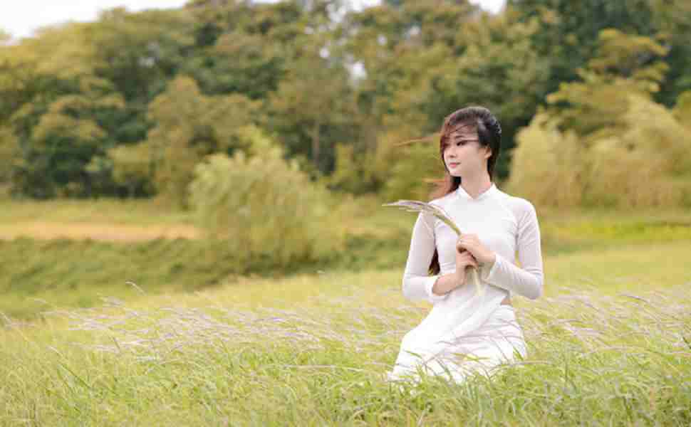 香港站群服务器租用