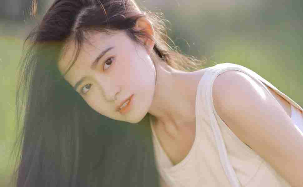 现在的站群真牛