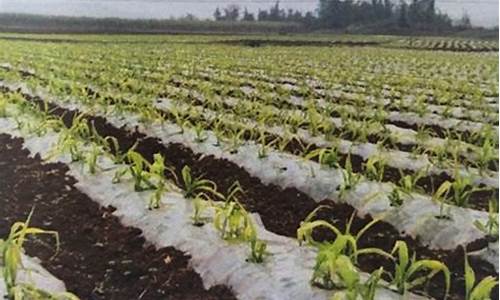 线上国际菠菜：菠菜导航(菠菜 导航)