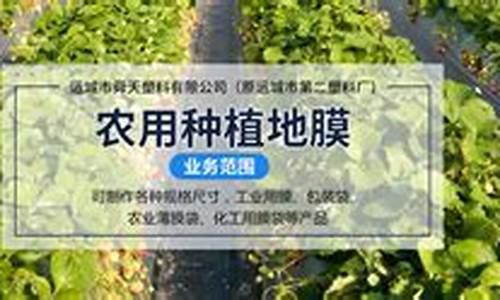 白菜导航：专业菠菜导航官方网站 (17)