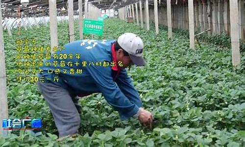 最新白菜网注册领取体验：菠菜优惠担保(菠菜渠道返利) (8)